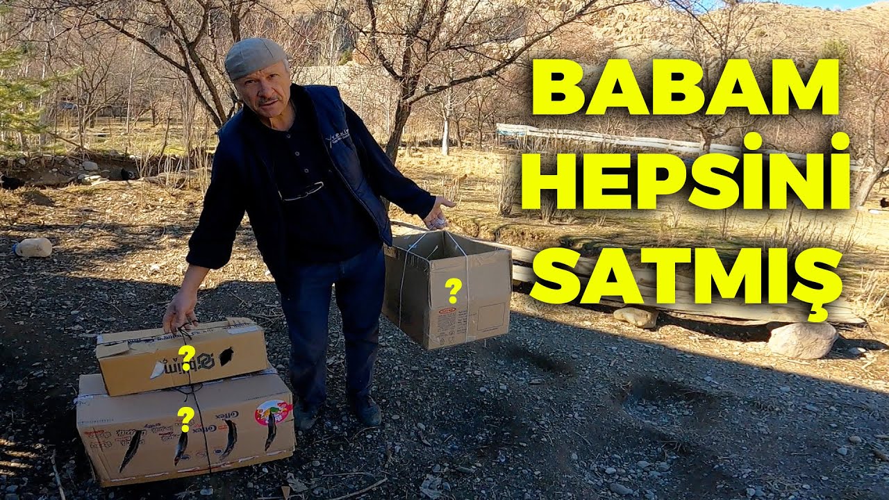 Kümesi Boşalttık Koli Koli Hayvan Sattık !- Dadaş Ko Öldü - Gurk Tavukları - Çiftlik İşleri