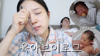 육아브이로그: 신생아 집에 온 첫 날 | 산후도우미 | 신생아 목욕| 생후 19일 ~ 24일 육아 브이로그