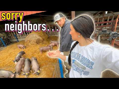 We Got Pigs!!!