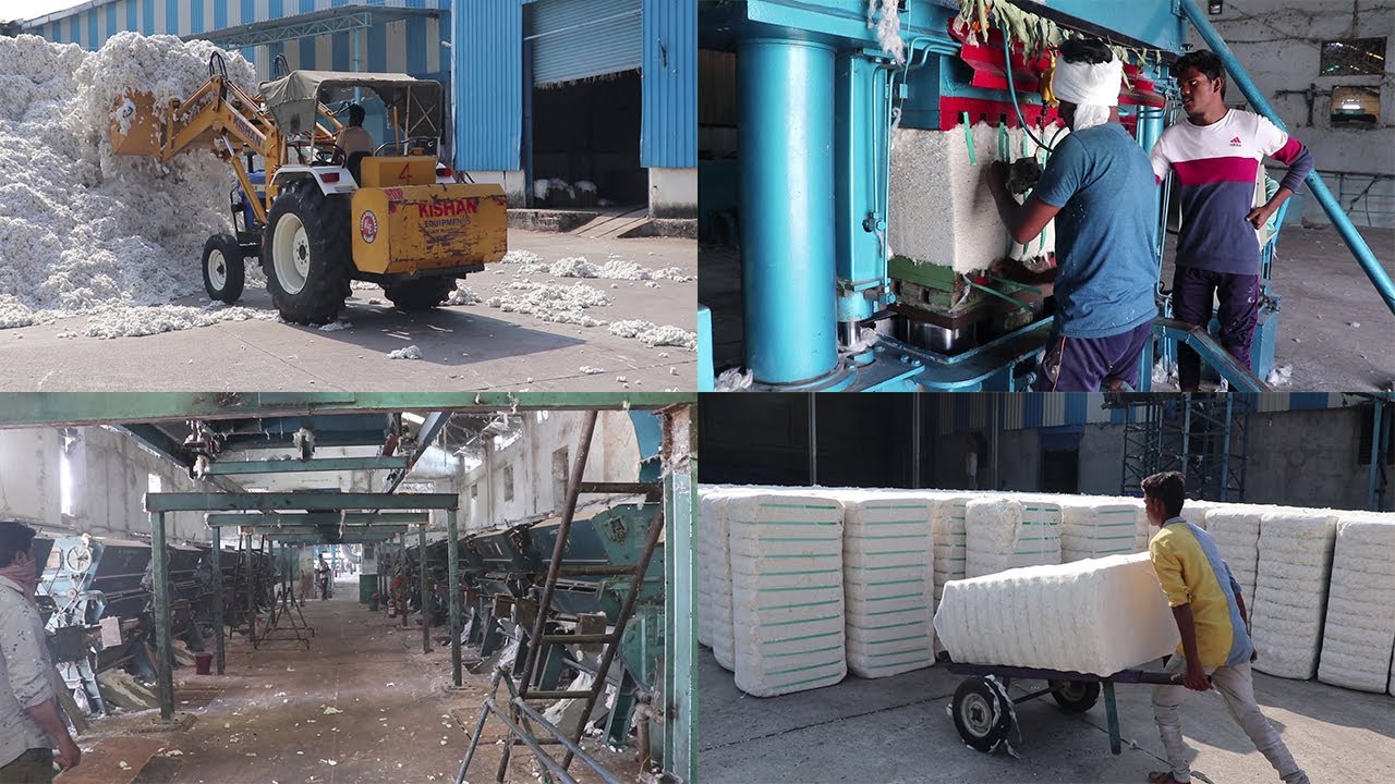 Cotton Ginning Process / Cotton Ginning Machine /cotton loading at