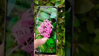 Oppo A73 5g 🔥 camera test #shorts #oppo #smartphone #trendingshorts #photography