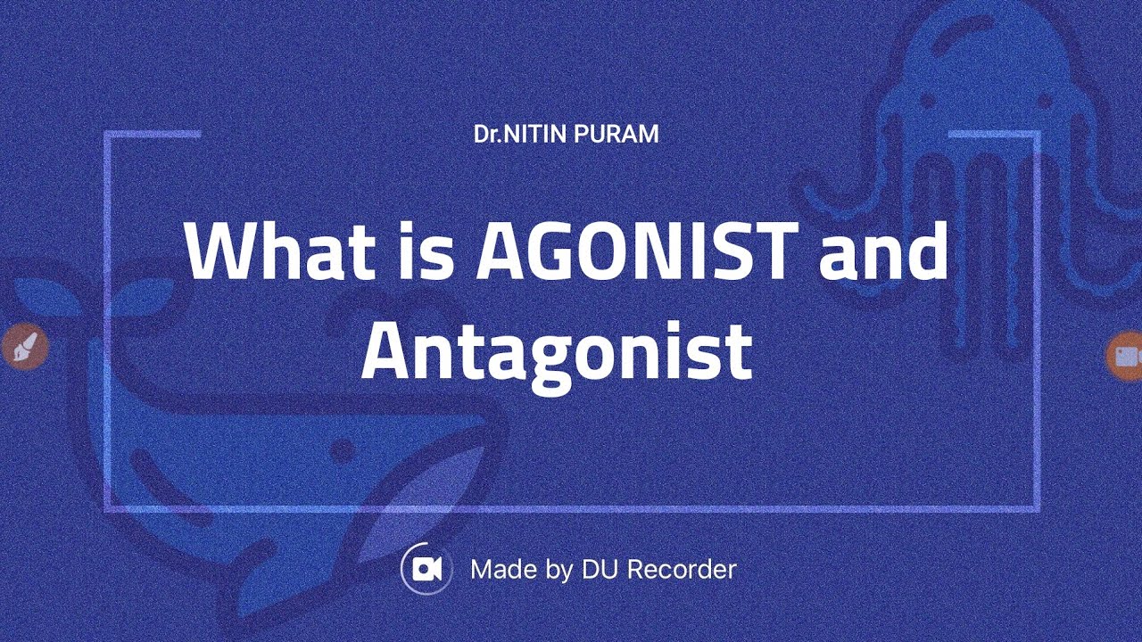 What is the difference between an agonist and antagonist ? - YouTube