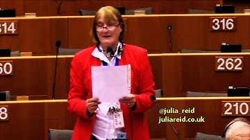 Climate change chimera is costing EU jobs and investments - Julia Reid MEP