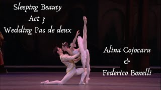 Sleeping Beauty Wedding Pas de deux - Alina Cojocaru & Federico Bonelli