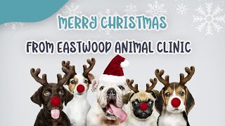 🎄 Merry Christmas from Eastwood Animal Clinic 🐾 by Ask Dr. Sammy 11 views 4 months ago 24 seconds