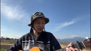 Hope of Deliverance / Paul McCartney    （cover）