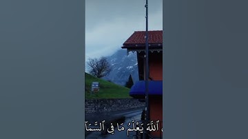 القران الكريم تلاوة ماهر المعيقلي سورة الحج #المصحف #اكسبلور #راحة_نفسية