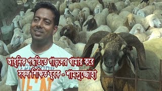 গাড়ল পালন করে বছরে কত আয় করেন শামসুজ্জোহা? Sheep Farming Method