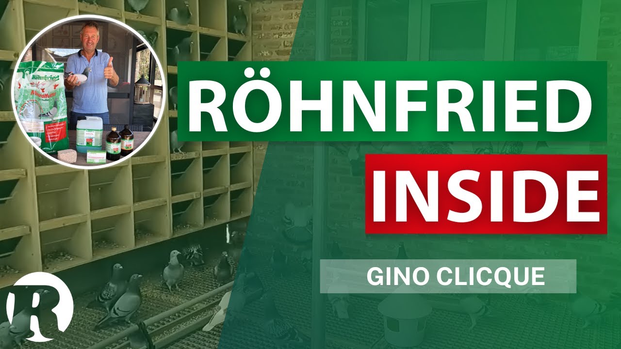 Röhnfried Inside - A visit to Gino Clicque's PIGEON LOFT