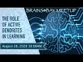 Brains@Bay Meetup - The Role of Active Dendrites in Learning (Aug 26, 2020)