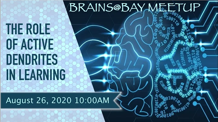 Brains@Bay Meetup - The Role of Active Dendrites in Learning (Aug 26, 2020)