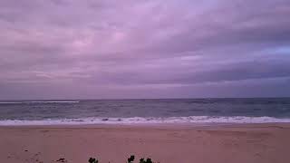 Celebrity Hargraves Beach, lighthouse in distance, central coast nsw Net Worth