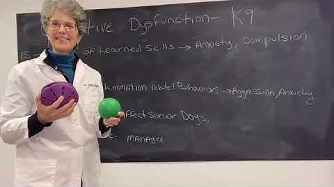 Canine Cognitive dysfunction what it is and is not