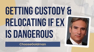 Can I [Move & Get Full Legal Custody If My Ex Is Dangerous For My Child To Be Around] - Michigan Law