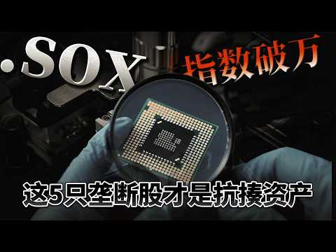 费城半导体指数破万，AI算力狂飙，这5家“硬核垄断巨头”才是下半场真正的赢家