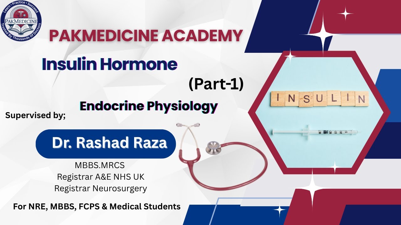 Insulin Hormone Part 1 | Endocrine Physiology | First Aid for NRE, FCPS ...