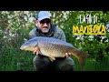 CARPFISHING SUI LAGHI DI MANTOVA #carpfishing #pesca #fishing