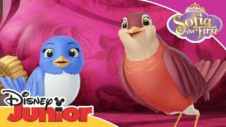 Download Mp3 Sofia the First - Blue Ribbon Bunny Song | Official Disney Junior Africa Gudang lagu Download Mp3 Sofia the First - Blue Ribbon Bunny Song | Official Disney Junior Africa