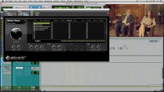 DIALOG TREATMENT - REVERBS