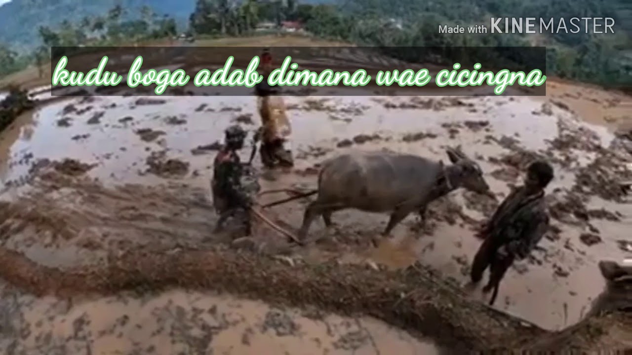Orang Sunda 