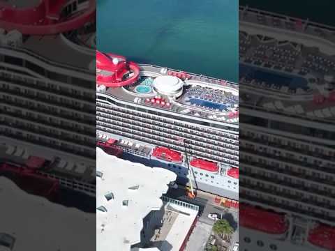 The Cruise That's A Whole Vibe!
