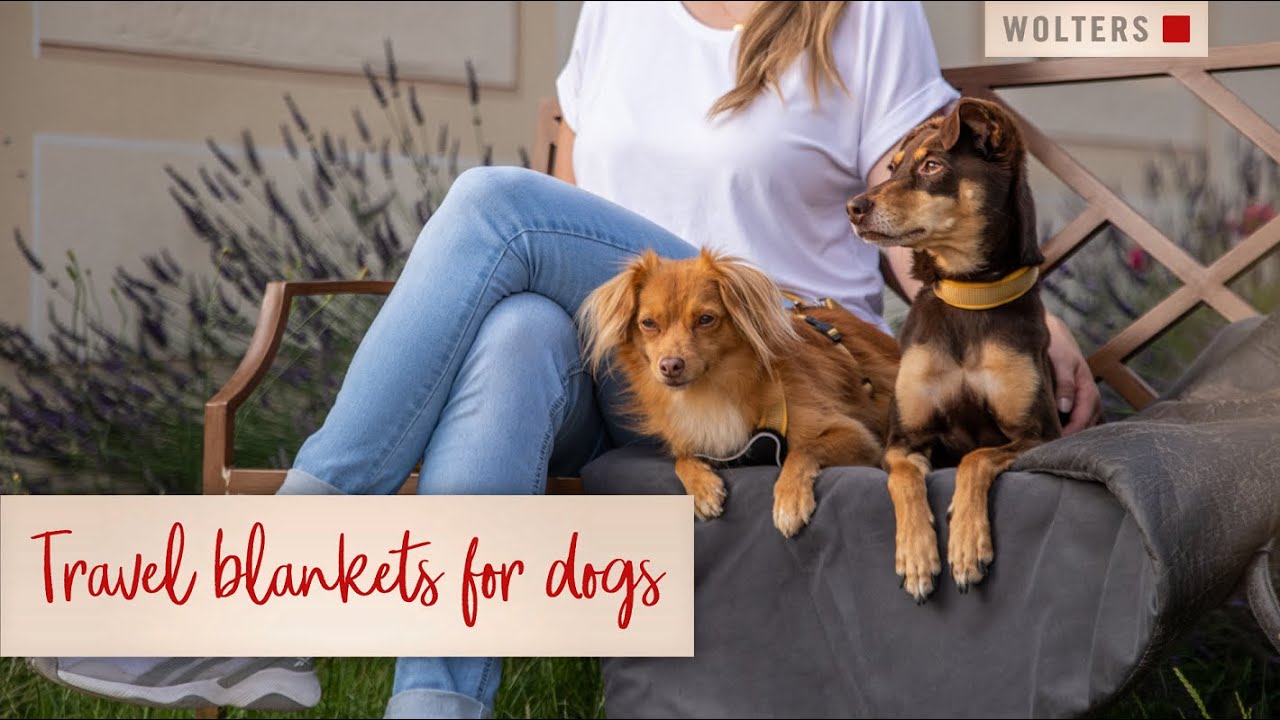 Practical & stylish travel blankets for dogs YouTube