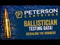 Ballistician Testing Data Revealed | The Real Numbers Behind Precision