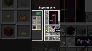 @Skycrab-di9kv He has so much aura! #crazy #minecraft