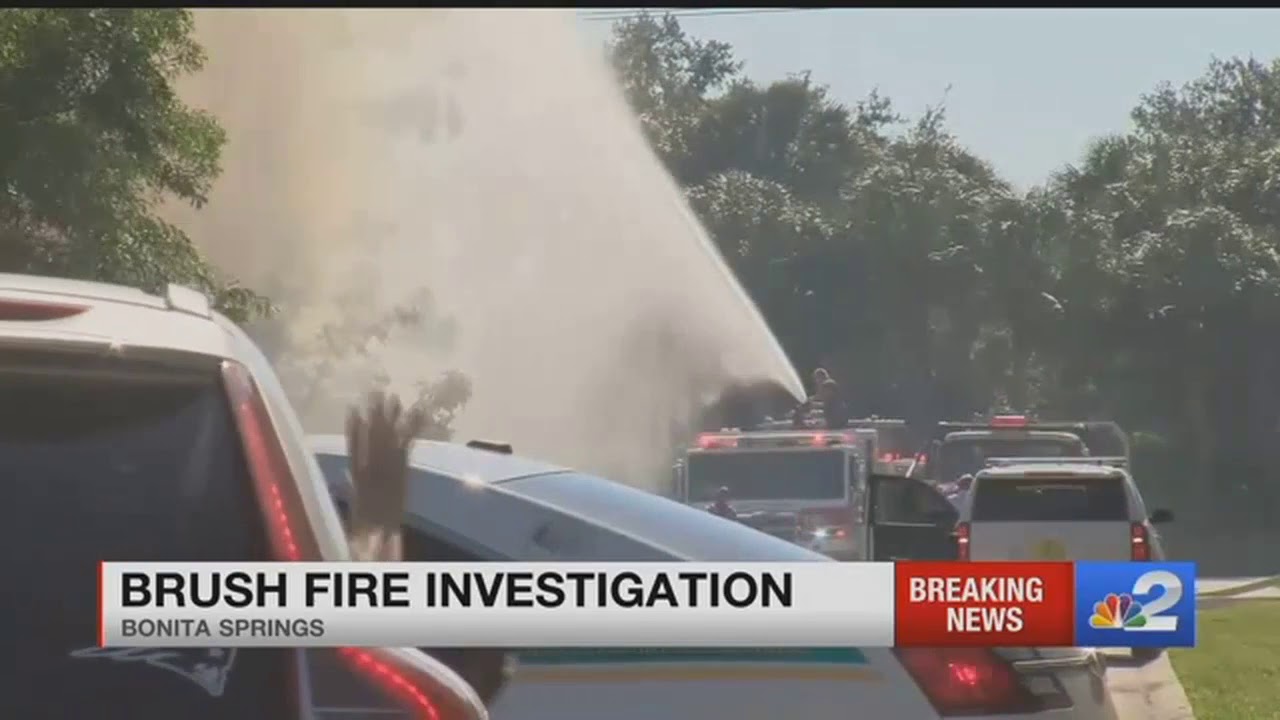 southwest florida eagle cam Brush fire burned five acres in Bonita Springs