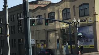 Standard Eagle Durasig & LFE (12-8-8) Traffic Signal🚦