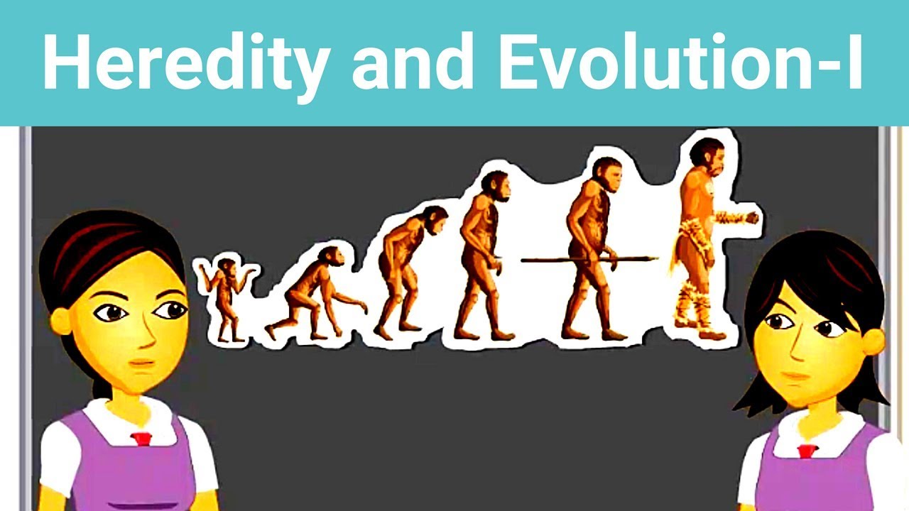 Heredity and Evolution 1 | Origin Of Life | Speciation | Fossils ...
