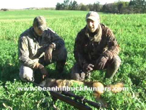 Eastern Coyote Hunting in New York: Gaugler's 47 pounder