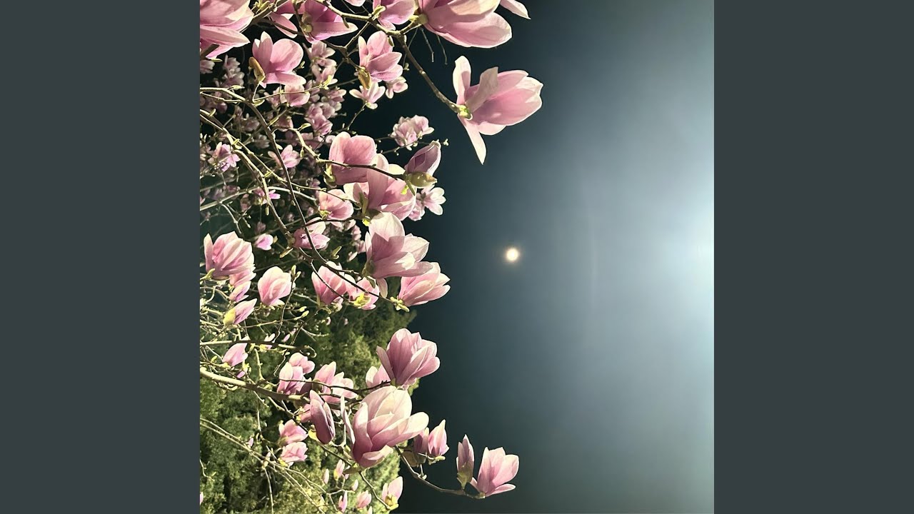 bloom - YouTube
