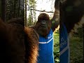 Hiding From Society Didn’t Cancel Leg Day #Bigfoot #ComedyShorts #FunnyShorts #YouTubeShorts