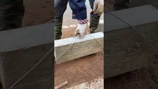 Unlock the Secret to Easy Stone Moving