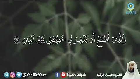 القارئ - فيصل الرشيد