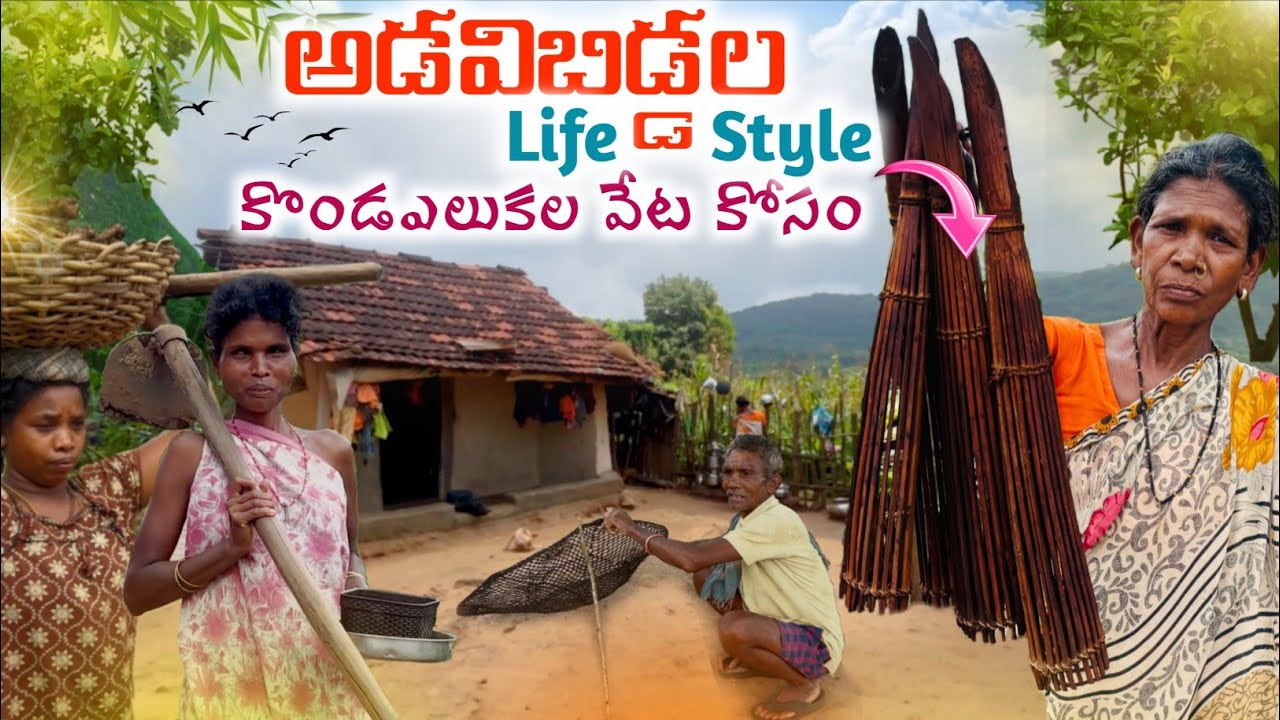 Wild &Beautiful:Life of TRIBES On Hills/ప్రతీ ఇంటిచుట్టూ కొండపంటలే🌿RATS వేట🐀ఇలా పడతారు
