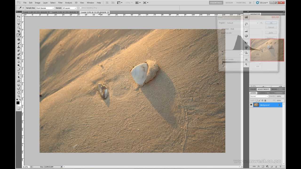 Photoshop for Everyone CS - Levels Sample Video camera iphone 8 plus apk