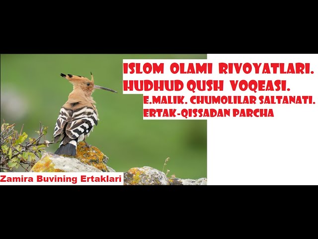 Kokrak qafasidagi dik bilan jinsiy aloqa Rus keksa ayollar porno