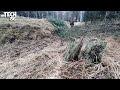 Manual Cleaning Of A Trench From Cut Branches And Trees - By Two Of Us