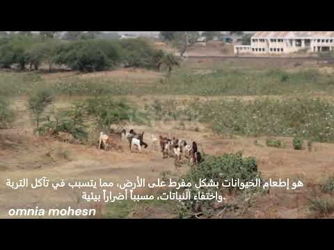 مفهوم الرعي الجائر