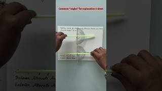 Angles DIY - MATH ACTIVITY 1 [check description] #earlymathskills #earlychildhoodeducation #maths