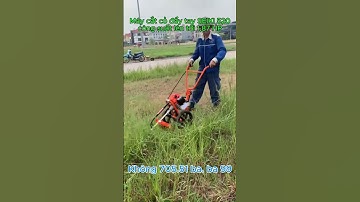 Máy cắt cỏ đẩy tay SEIKI 520, công suất lên tới 1.87HP