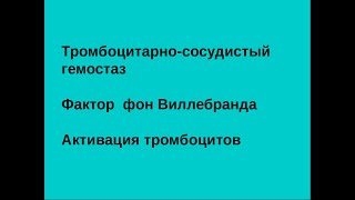 1. Тромбоцитарно-сосудистый гемостаз