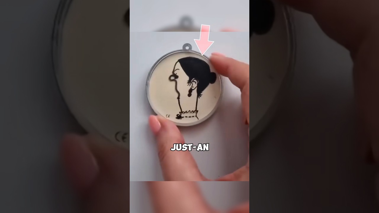 The Most Relaxing Toy You’ve Never Heard Of 