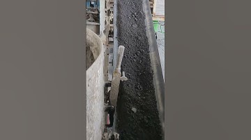 Fly ash machine Conveyor belt #conveyorsystems