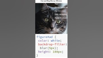 CSS backdrop filter blur