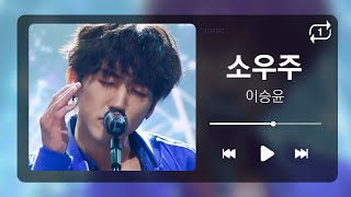 𝟏𝐡𝐫 𝐥𝐨𝐨𝐩🔂 소우주 - 이승윤 | 1시간 반복 재생