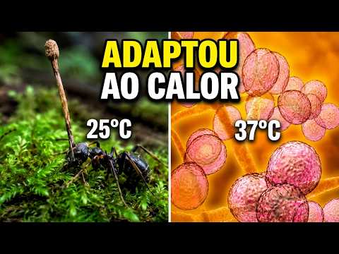 The Amazon's mind-controlling parasite is mutating.