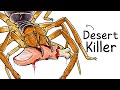 Why it Sucks To Be Born As a Wind Scorpion